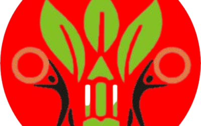 Best CUET Online Coaching in India – Prepare Under Expert Guide